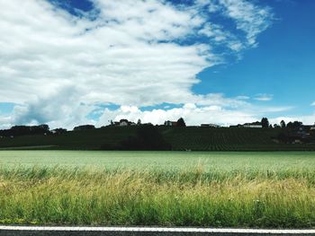 Scenic view of field against sky