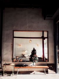 Potted plant on table by window in building