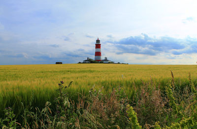 View of field against sky