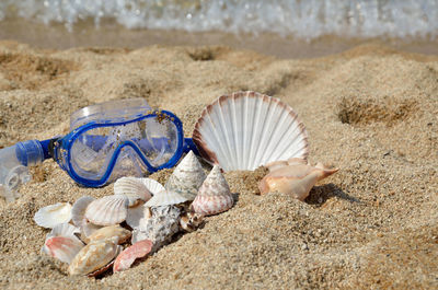 Group of different seashells collected on pile and diving mask on a sandy beach by the sea