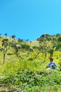 Scenic view of grassy field against blue sky