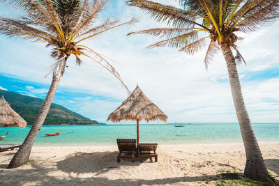 Coconut palm trees on beach against sky