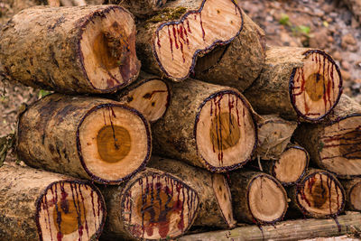 Full frame shot of logs