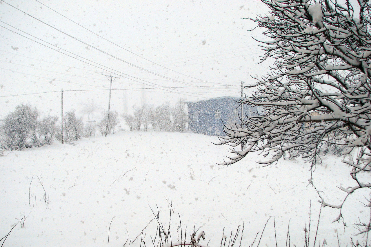 SNOW COVERED LAND AND TREES AGAINST SKY