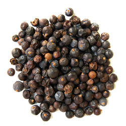 High angle view of coffee beans against white background