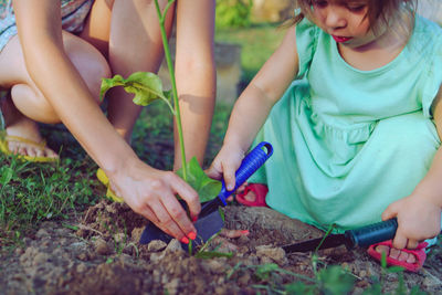 Low section of woman planting with daughter on land