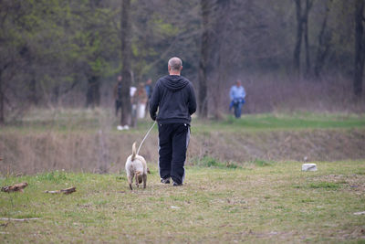 Dog brought to walk by his own owner with the leash in the public park along the river.