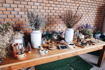 Potted plants on table against wall