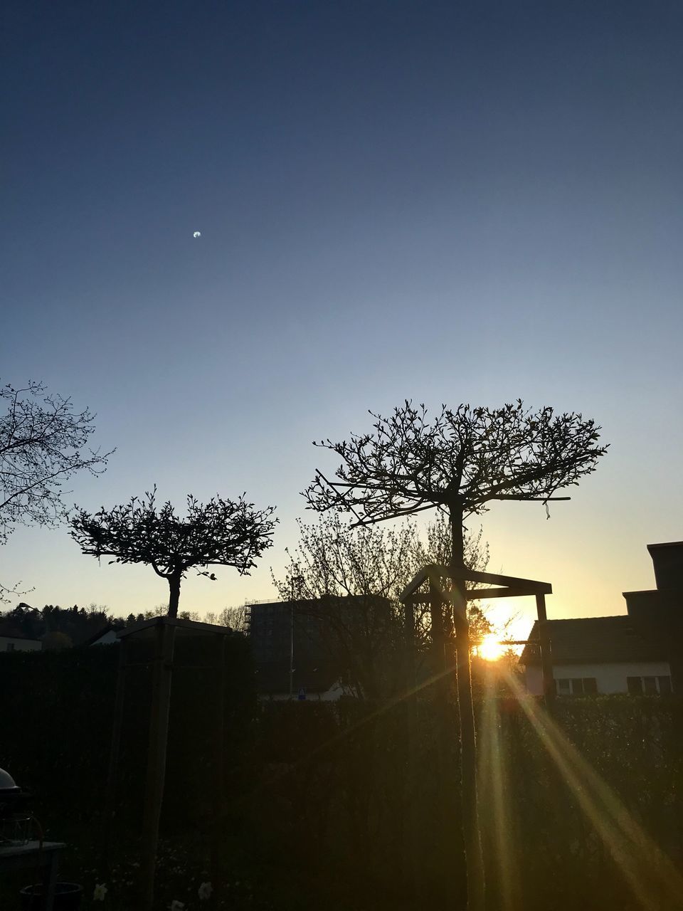 SILHOUETTE TREES AGAINST SKY DURING SUNSET