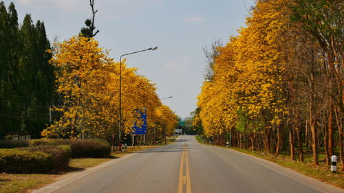 Street amidst trees against sky during autumn