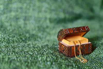 Close-up view of umbrella on grass