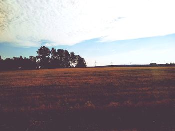 Scenic view of field against sky