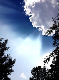 Low angle view of silhouette trees against sky