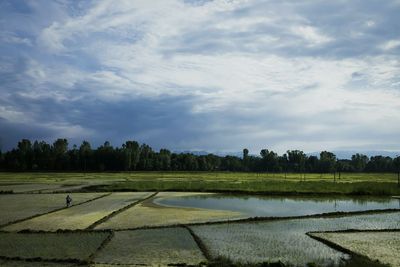 Scenic view of grassy field against cloudy sky