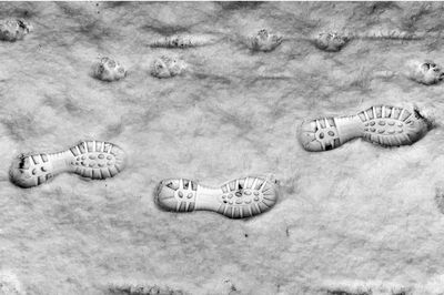 High angle view of shells on beach