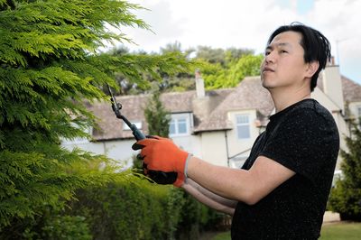 Young man cutting plants at yard