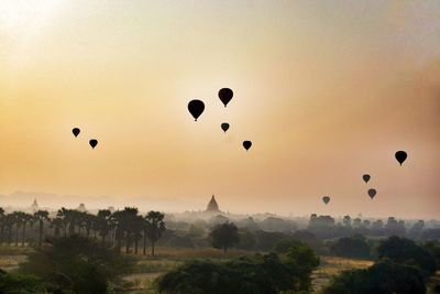 Hot air balloons flying in sky