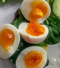 Close-up of fresh food on plate