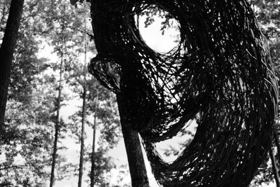 Low angle view of tree against sky