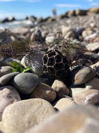 Close-up of rocks on beach