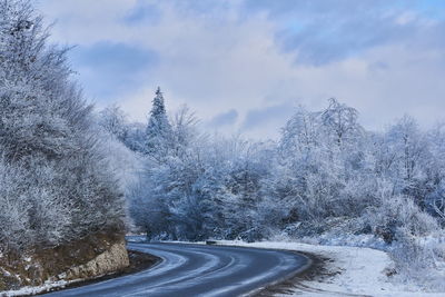 Road by trees against sky during winter