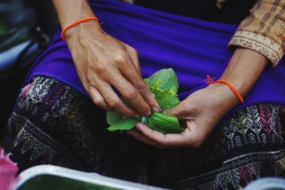 Midsection of woman holding leaves