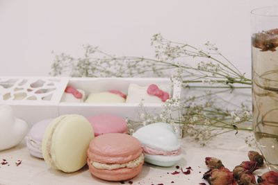 Close-up of multi colored macaroons and plants on table