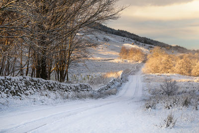 Soft morning sunshine on a glorious snow covered landscape in south scotland
