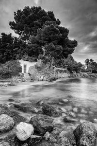 Scenic view of sea by trees against cloudy sky