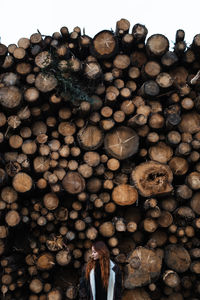 Young red haired female in warm jacket standing against stacked wooden logs in autumn day in countryside