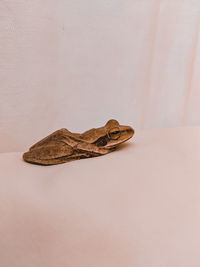 Close-up of frog on table against white background