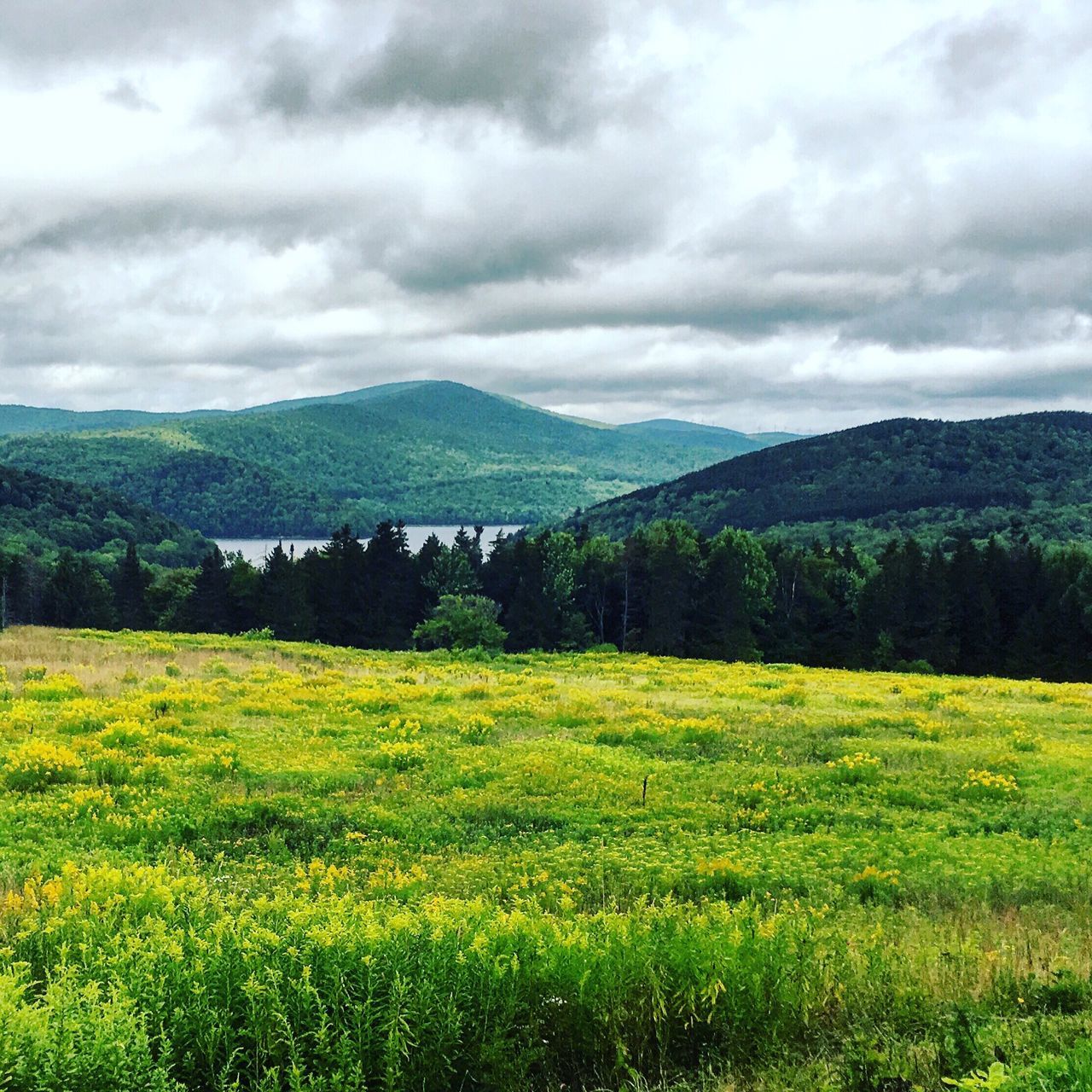 Whitingham, VT