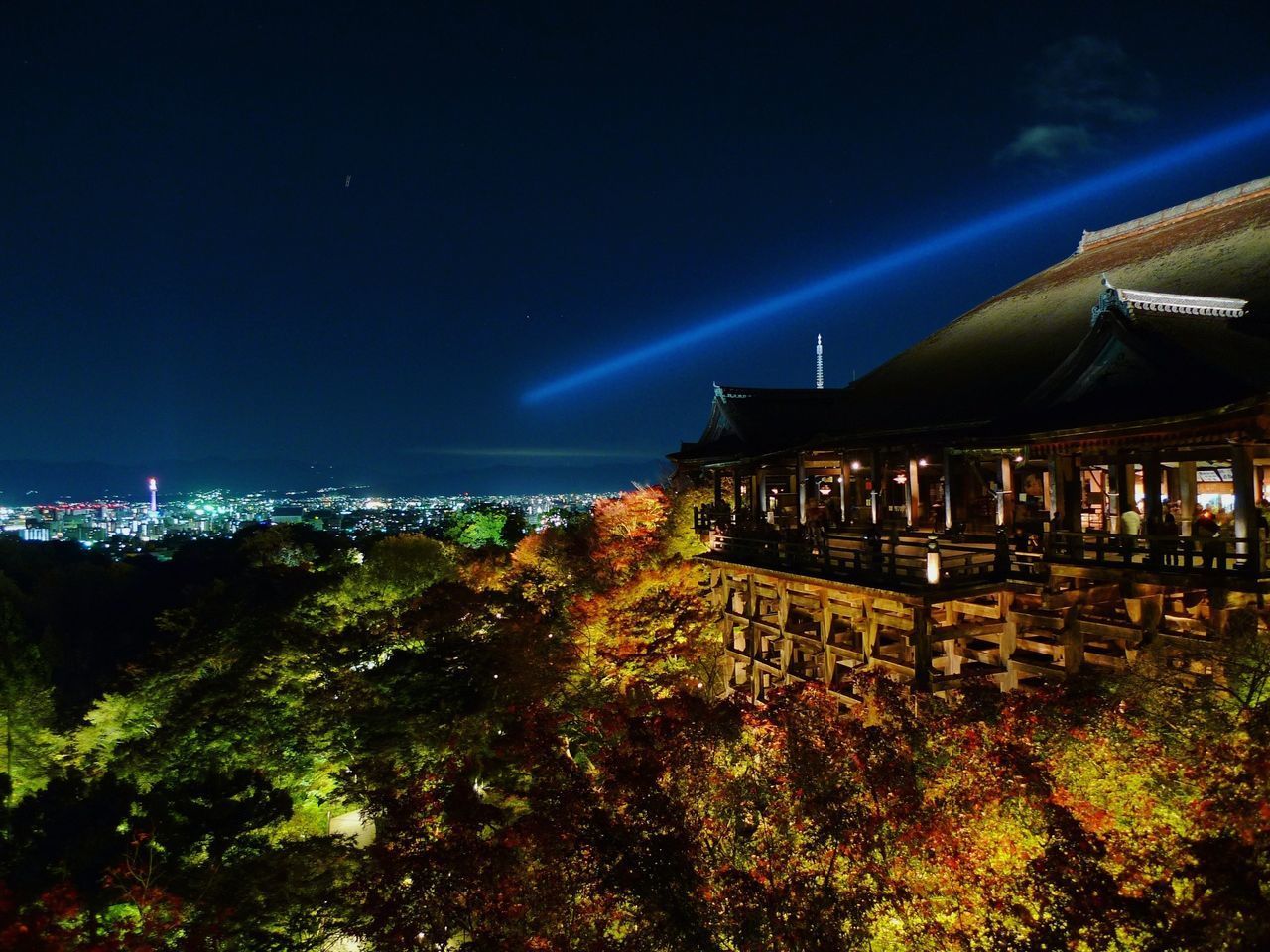 ILLUMINATED BUILDINGS BY TREES AT NIGHT