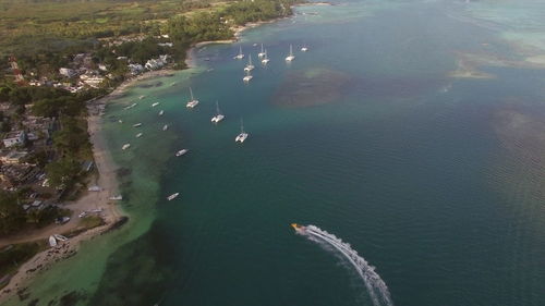 High angle view of sea and trees