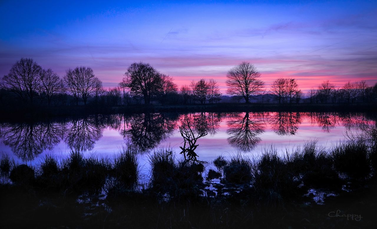 tree, tranquility, sky, tranquil scene, water, beauty in nature, lake, scenics - nature, plant, reflection, non-urban scene, sunset, no people, idyllic, cloud - sky, nature, waterfront, growth, silhouette, outdoors, reflection lake