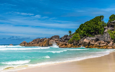 Idyllic tropical beach with sea waves and green palm trees on sunny day in summer.