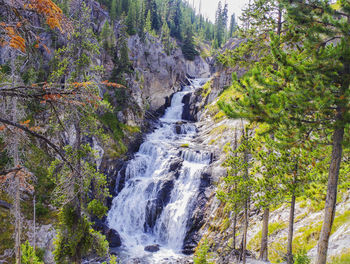 Scenic view of waterfall in forest