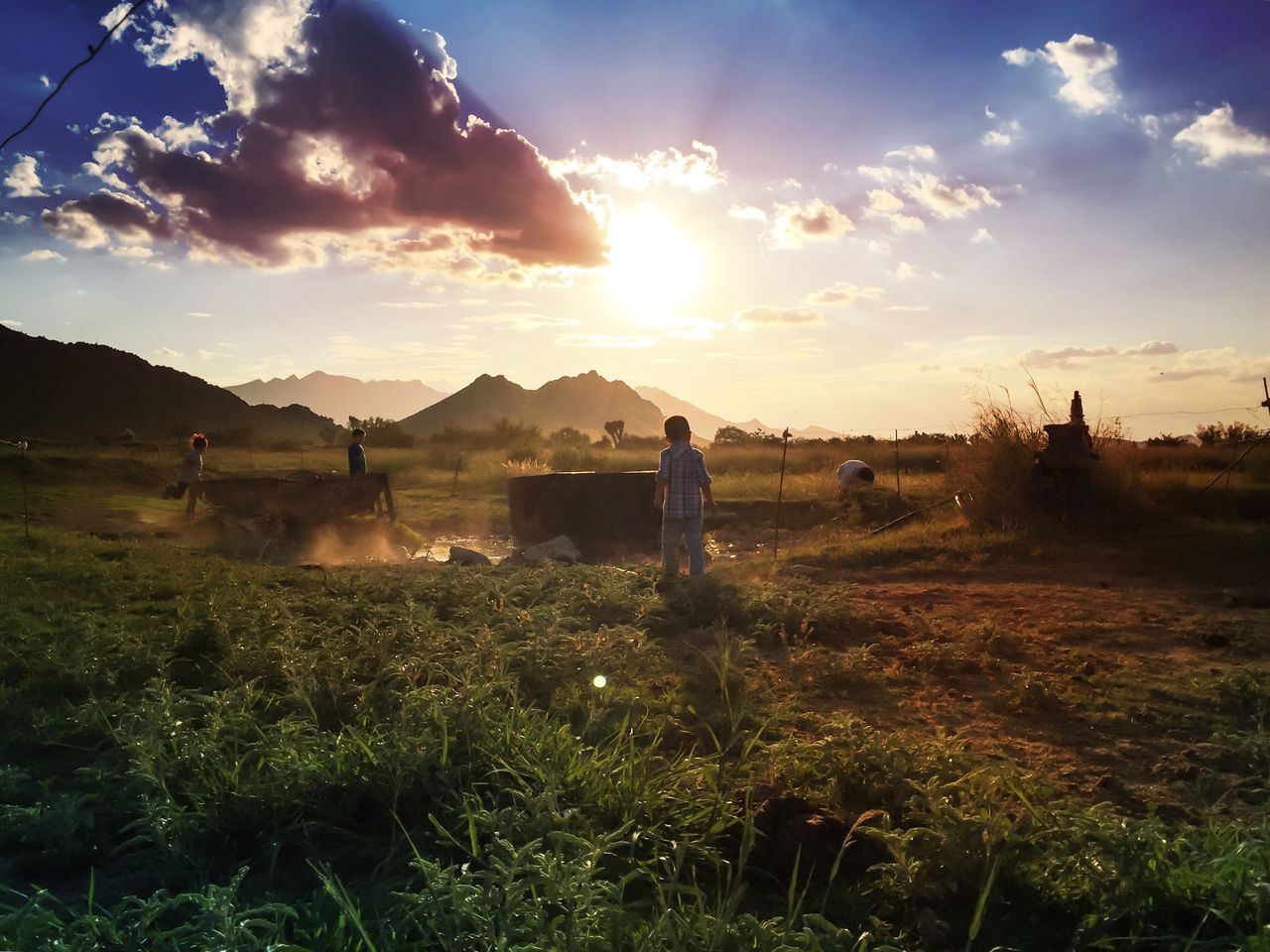 sky, landscape, field, sun, tranquil scene, grass, beauty in nature, scenics, sunlight, tranquility, nature, cloud - sky, sunset, sunbeam, growth, cloud, lens flare, tree, plant