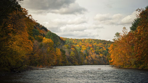 Scenic view of river amidst trees against sky during autumn