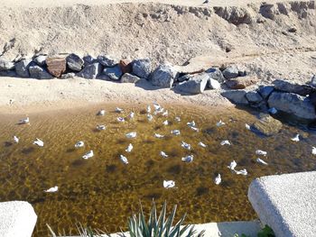 High angle view of stones on beach