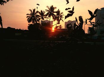 Silhouette trees against sky during sunset