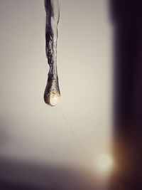 Close-up of wet spider web against sky