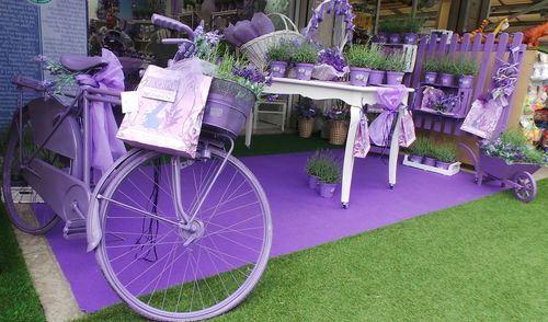 purple