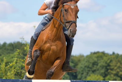 Man with horse against sky