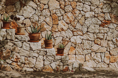 View of potted plants against stone wall