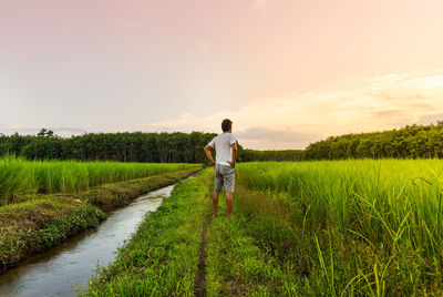 Rear view of man standing on farm against sky