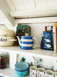 Potted plants on shelf at home