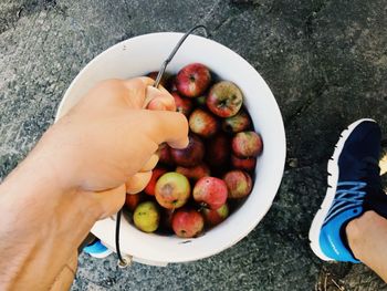 High angle view of person holding fruits