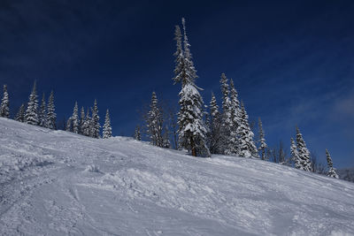 Sunny winter morning in the mountains of sheregesh on the ski track