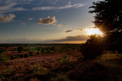 Scenic view of field against sky during sunset